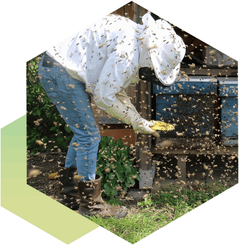 A person in white jacket and jeans standing next to beehive.