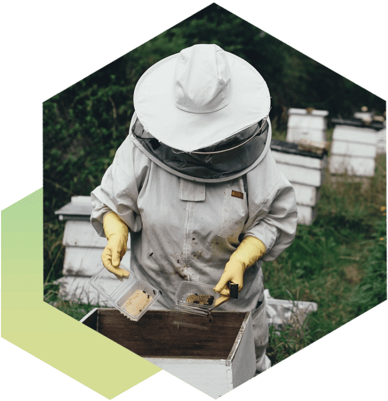 A beekeeper wearing yellow gloves and a hat.