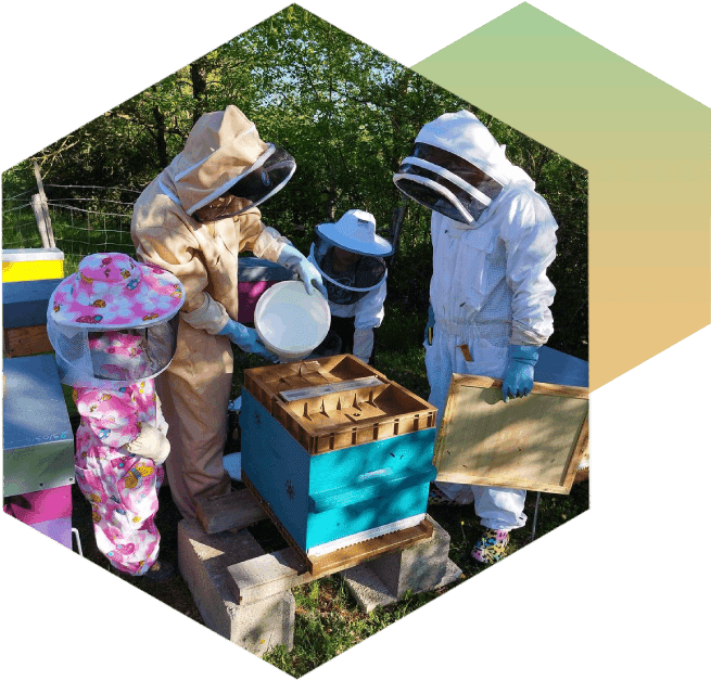 A group of people in bee suits and hats.